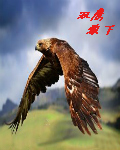 ǼƷ¯